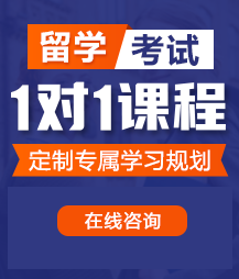 日逼性爱网留学考试一对一精品课